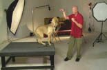 training the dog to sit with treats
